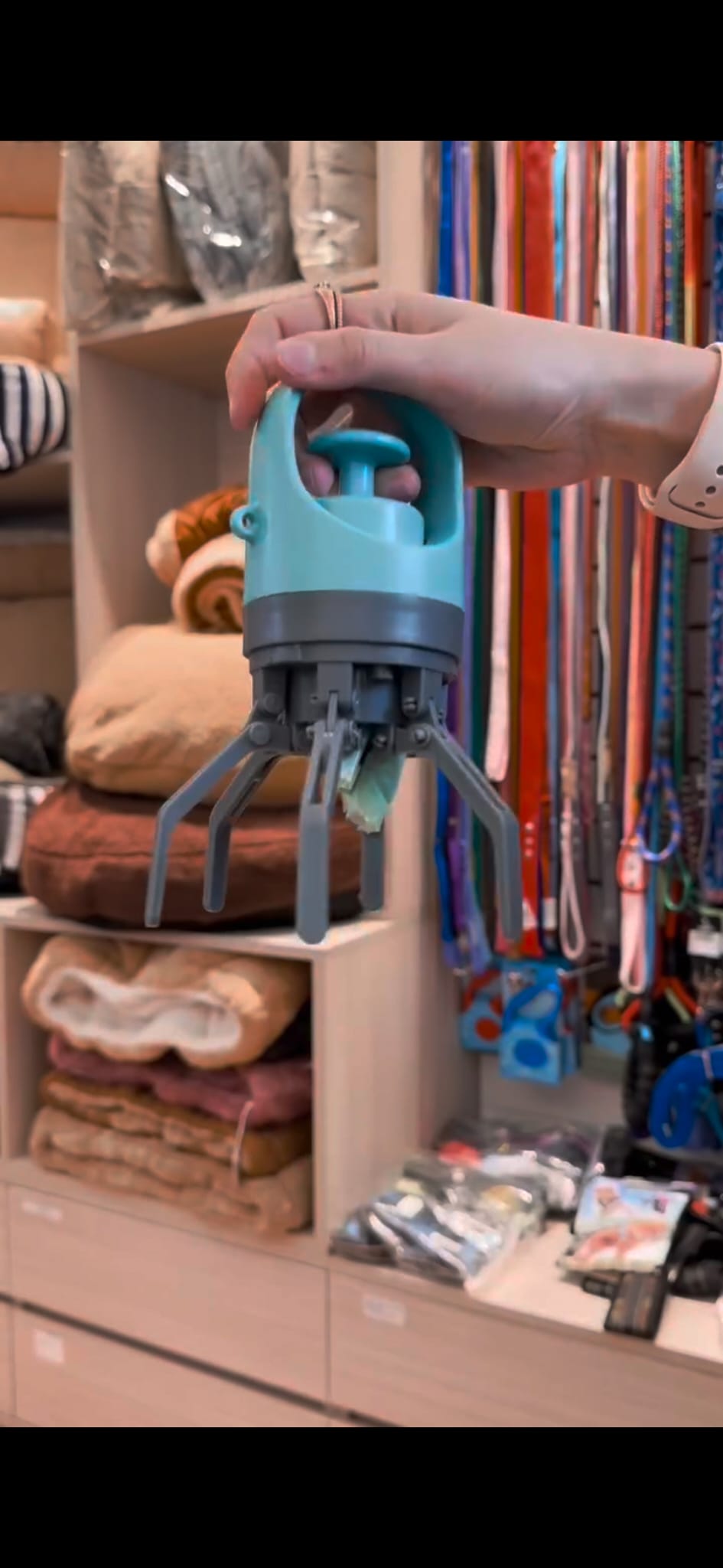 טל פ. – הרצליה